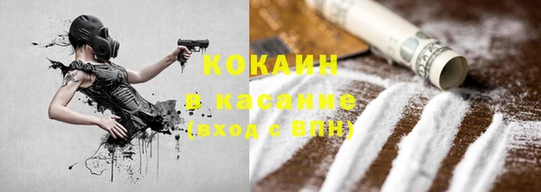 ПСИЛОЦИБИНОВЫЕ ГРИБЫ Арсеньев