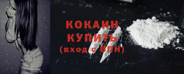 ПСИЛОЦИБИНОВЫЕ ГРИБЫ Арсеньев