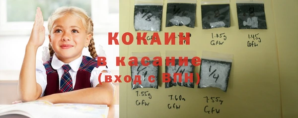 гашик Аркадак