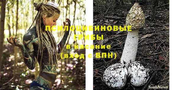 гашик Аркадак