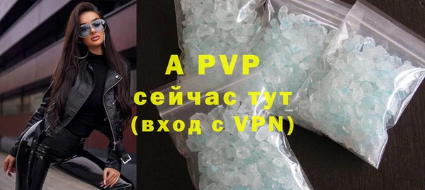 гашик Аркадак