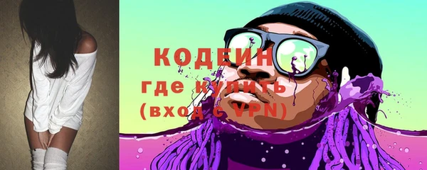 2c-b Ельня