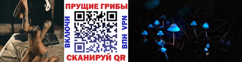 как найти закладки  Суджа  Галлюциногенные грибы GOLDEN TEACHER 