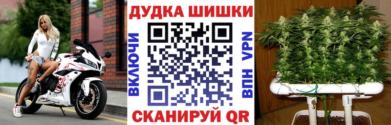 Конопля тримм  закладка  Суджа 